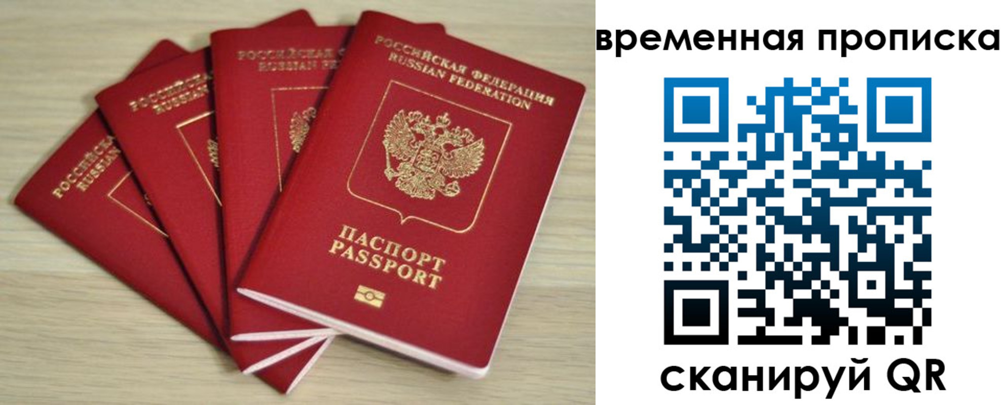 прописка для школы в Лодейном Поле